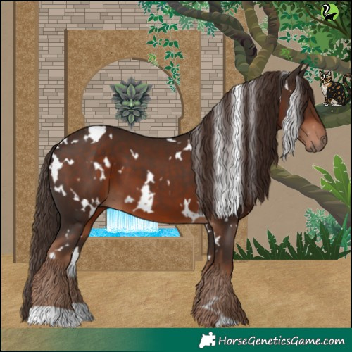 Horse Color:White Spotted Liver Chestnut 