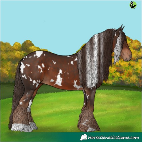 Horse Color:White Spotted Liver Chestnut