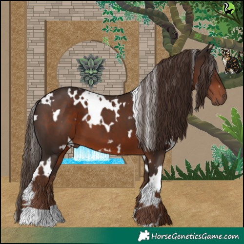 Horse Color:White Spotted Liver Chestnut 