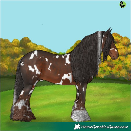 Horse Color:White Spotted Liver Chestnut 