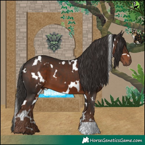 Horse Color:White Spotted Liver Chestnut 
