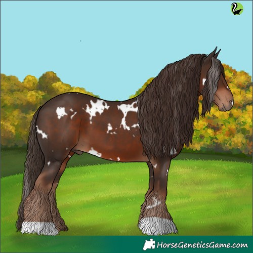 Horse Color:White Spotted Liver Chestnut 