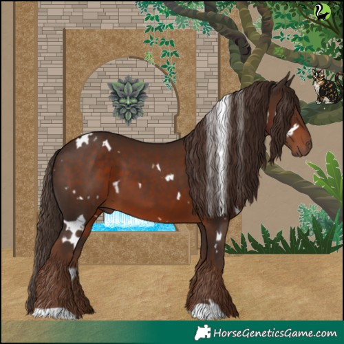 Horse Color:White Spotted Liver Chestnut 