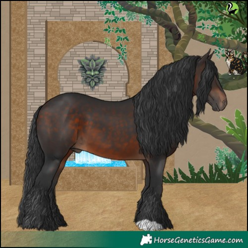 Horse Color:Brown 