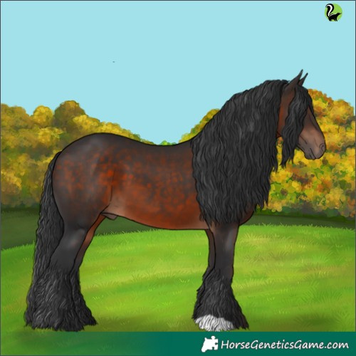 Horse Color:Brown 