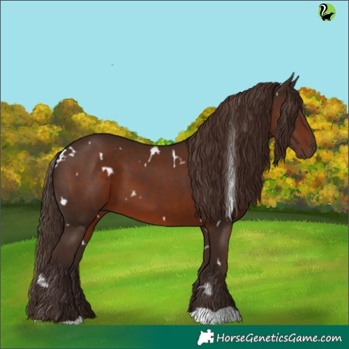 Horse Color:White Spotted Liver Chestnut 