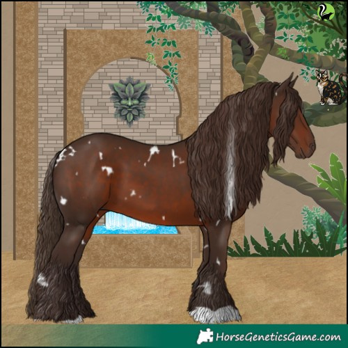 Horse Color:White Spotted Liver Chestnut 