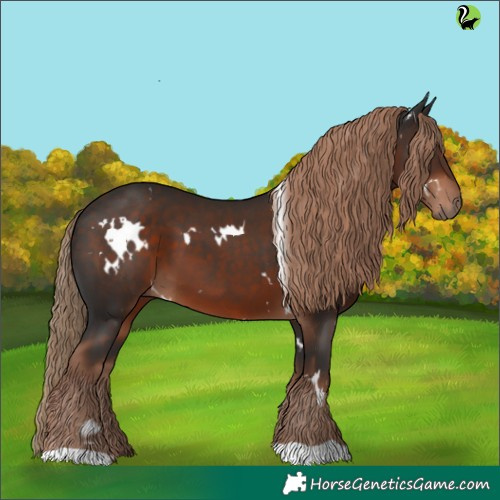 Horse Color:White Spotted Liver Chestnut 