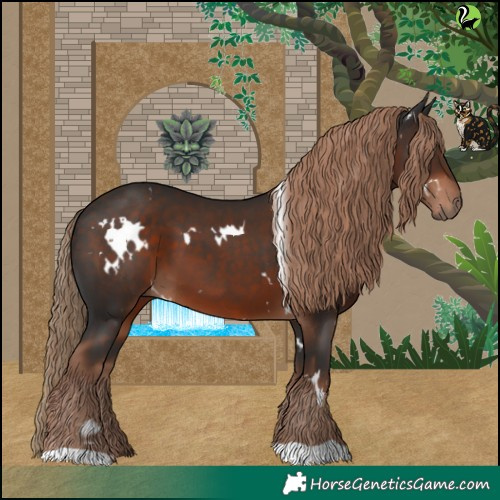 Horse Color:White Spotted Liver Chestnut 