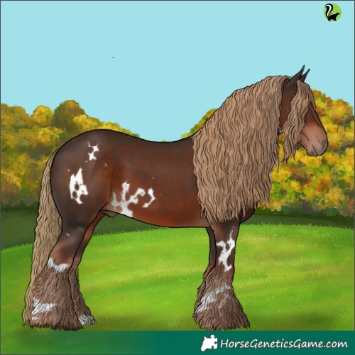 Horse Color:White Spotted Liver Chestnut