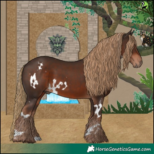 Horse Color:White Spotted Liver Chestnut 