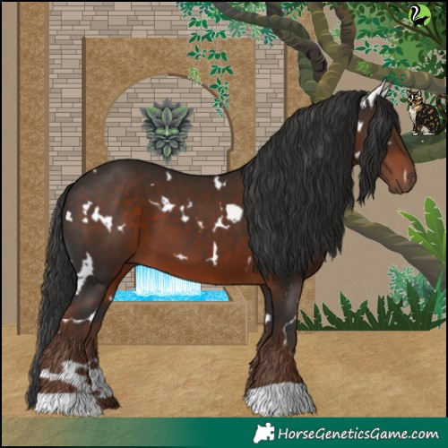 Horse Color:White Spotted Liver Chestnut 