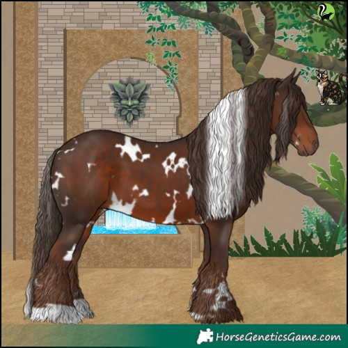 Horse Color:White Spotted Liver Chestnut 