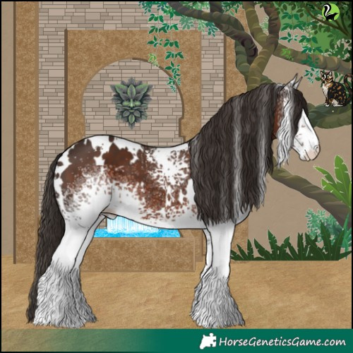 Horse Color:White Spotted Liver Chestnut 