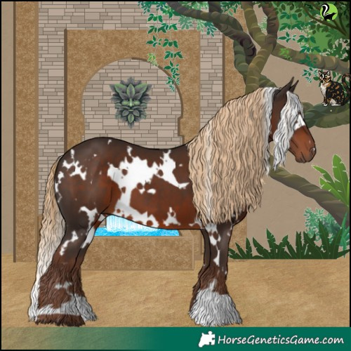 Horse Color:White Spotted Liver Chestnut 