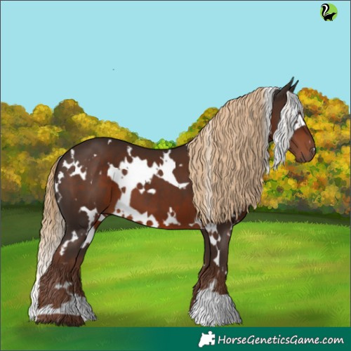 Horse Color:White Spotted Liver Chestnut