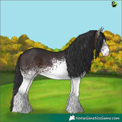 Horse Color:White Spotted Brown 