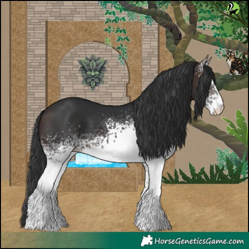 Horse Color:White Spotted Brown 