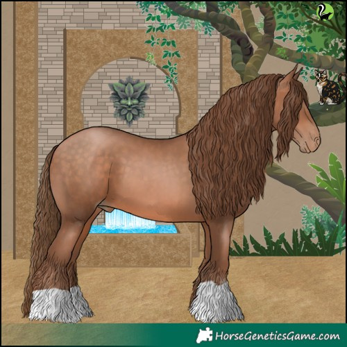 Horse Color:Bay Pearl 