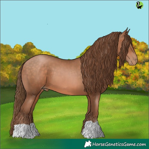 Horse Color:Bay Pearl