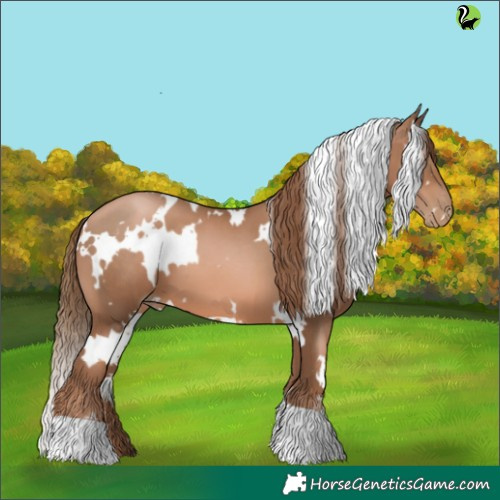 Horse Color:White Spotted Liver Chestnut Pearl