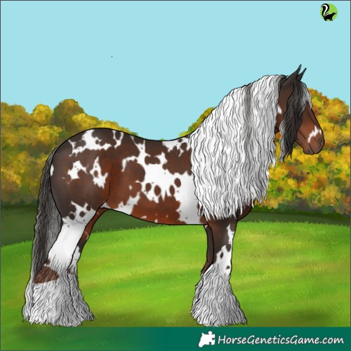 Horse Color:White Spotted Liver Chestnut 