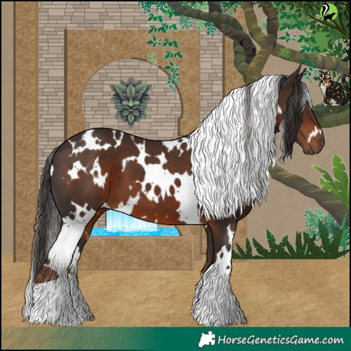 Horse Color:White Spotted Liver Chestnut 