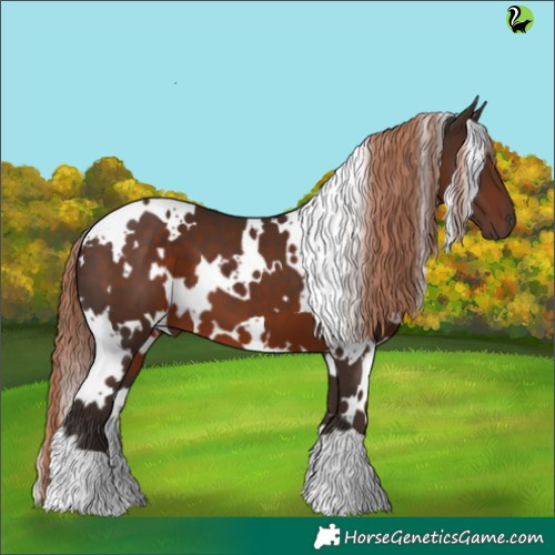 Horse Color:White Spotted Liver Chestnut 