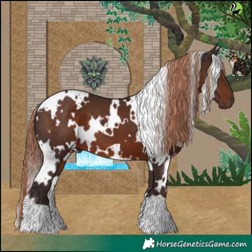 Horse Color:White Spotted Liver Chestnut 