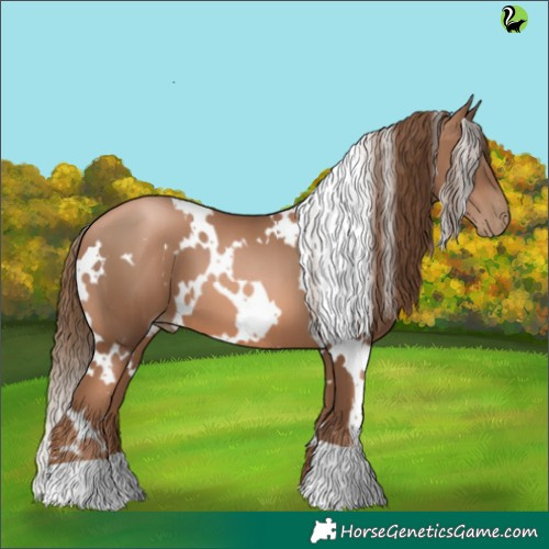 Horse Color:White Spotted Liver Chestnut Pearl 