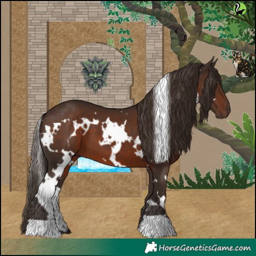 Horse Color:White Spotted Liver Chestnut 
