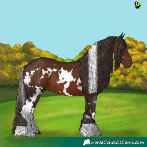 Horse Color:White Spotted Liver Chestnut 