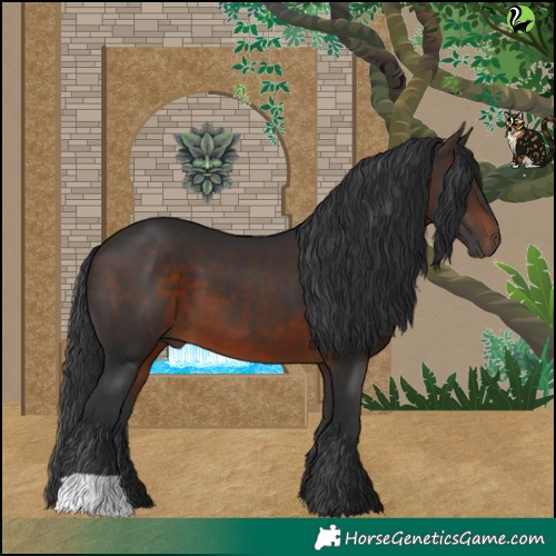Horse Color:Brown 