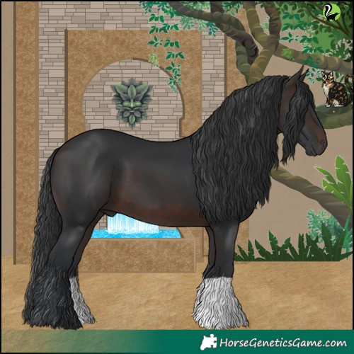 Horse Color:Brown 