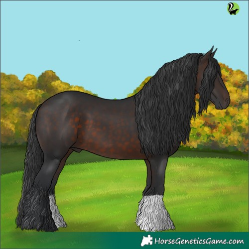 Horse Color:Brown 