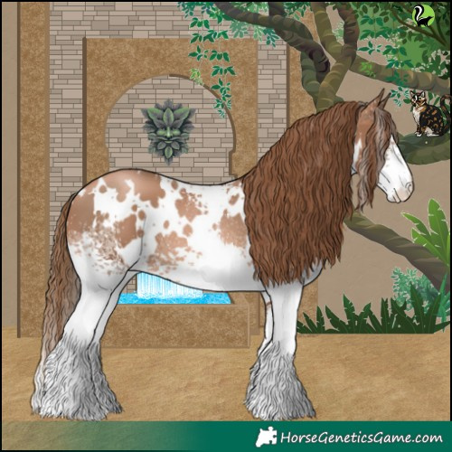 Horse Color:White Spotted Liver Chestnut Pearl 