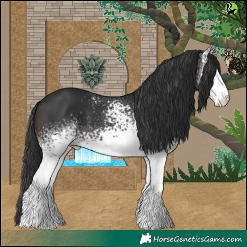 Horse Color:White Spotted Brown 
