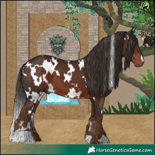 Horse Color:White Spotted Liver Chestnut 
