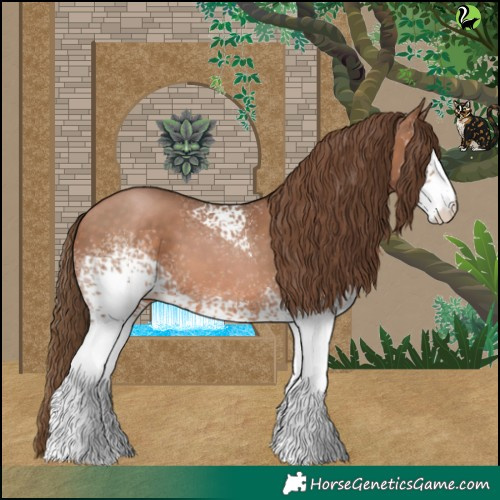 Horse Color:White Spotted Brown Pearl 