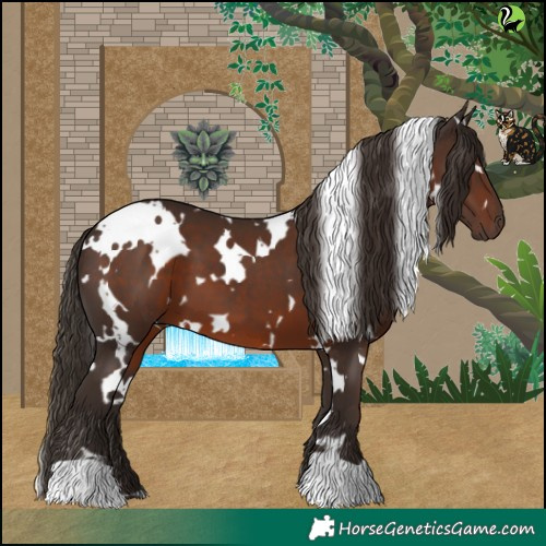 Horse Color:White Spotted Liver Chestnut 