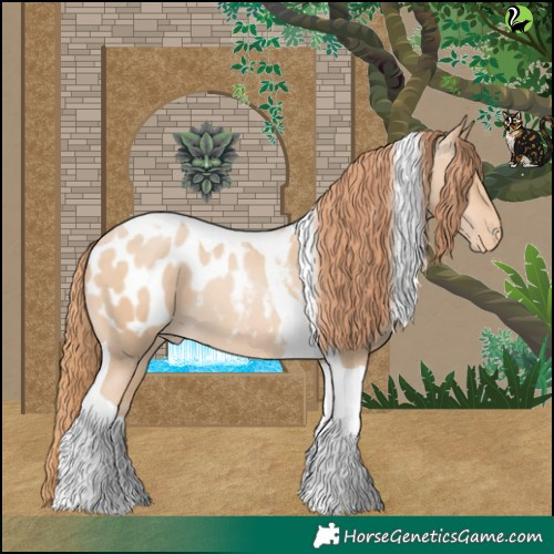 Horse Color:Buckskin Pearl Tobiano Blanket 