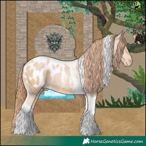 Horse Color:Buckskin Pearl Tobiano Appaloosa 