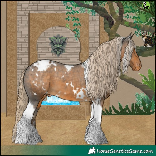 Horse Color:White Spotted Chocolate Palomino Tobiano Appaloosa 