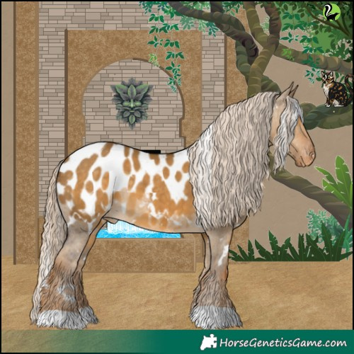 Horse Color:White Spotted Chocolate Palomino Dun Appaloosa 