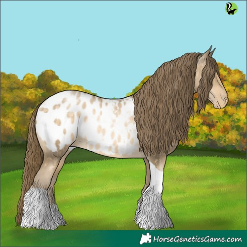 Horse Color:Buckskin Pearl Tobiano Appaloosa 