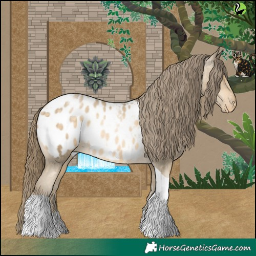 Horse Color:Buckskin Pearl Tobiano Appaloosa 
