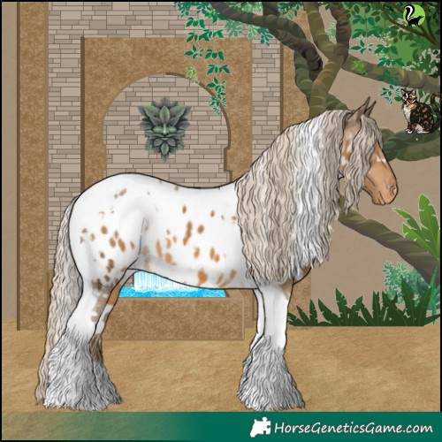 Horse Color:White Spotted Chocolate Palomino Tobiano Appaloosa 
