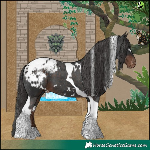 Horse Color:White Spotted Liver Chestnut Tobiano Appaloosa 
