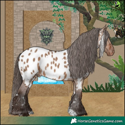 Horse Color:White Spotted Liver Red Dun Appaloosa 