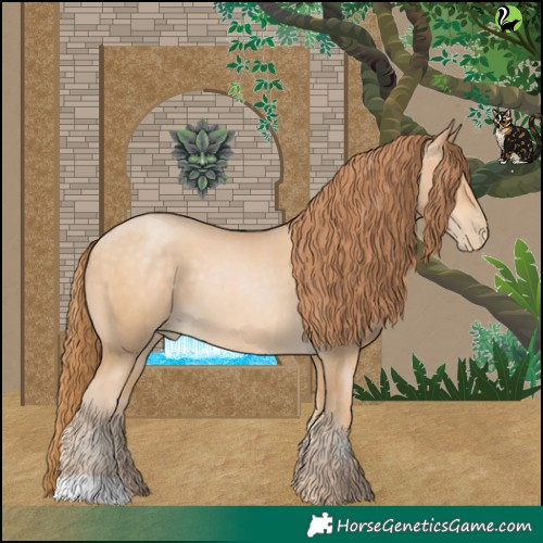Horse Color:Buckskin Pearl 